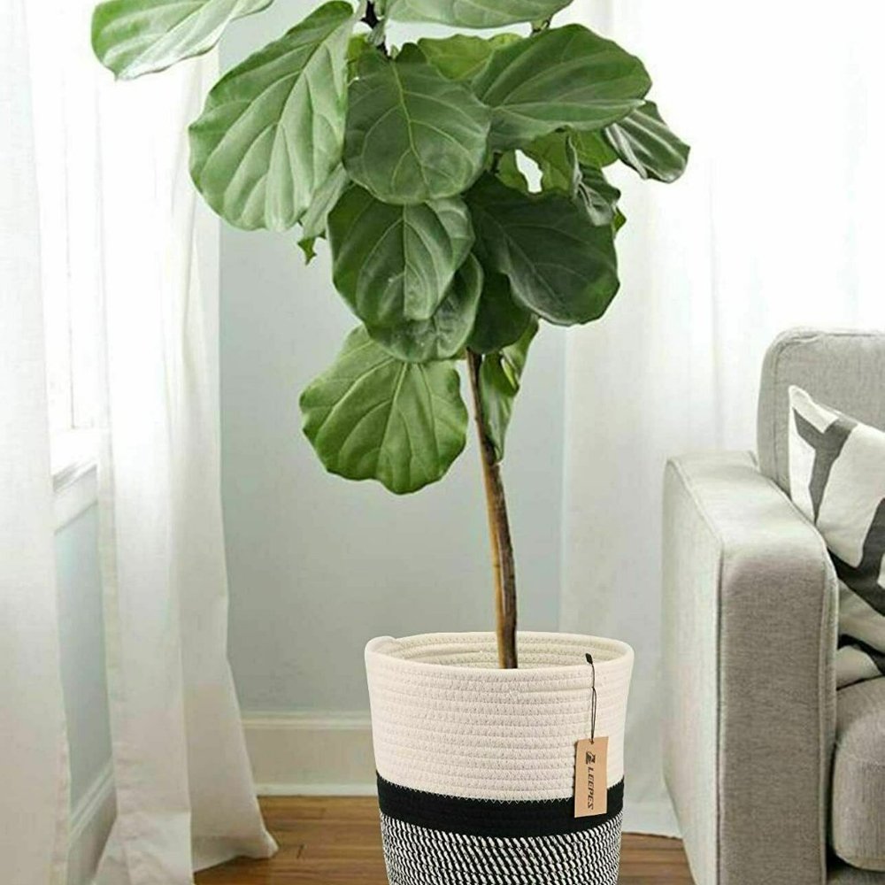 Cotton Rope Plant Basket Modern Woven Basket - Picture 6 of 7